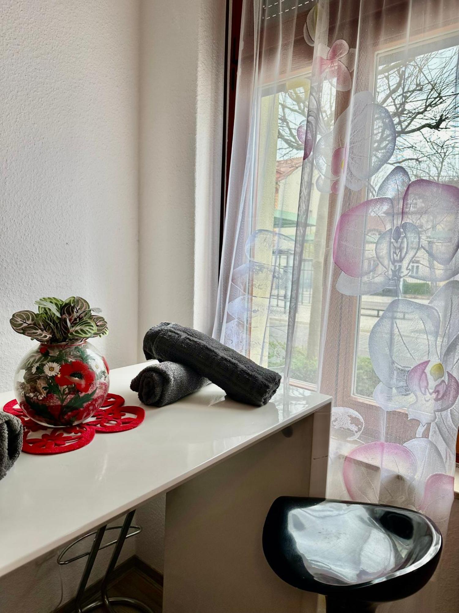 Ferienzimmer Healing Und Montuerwohnung Weißenfels Εξωτερικό φωτογραφία