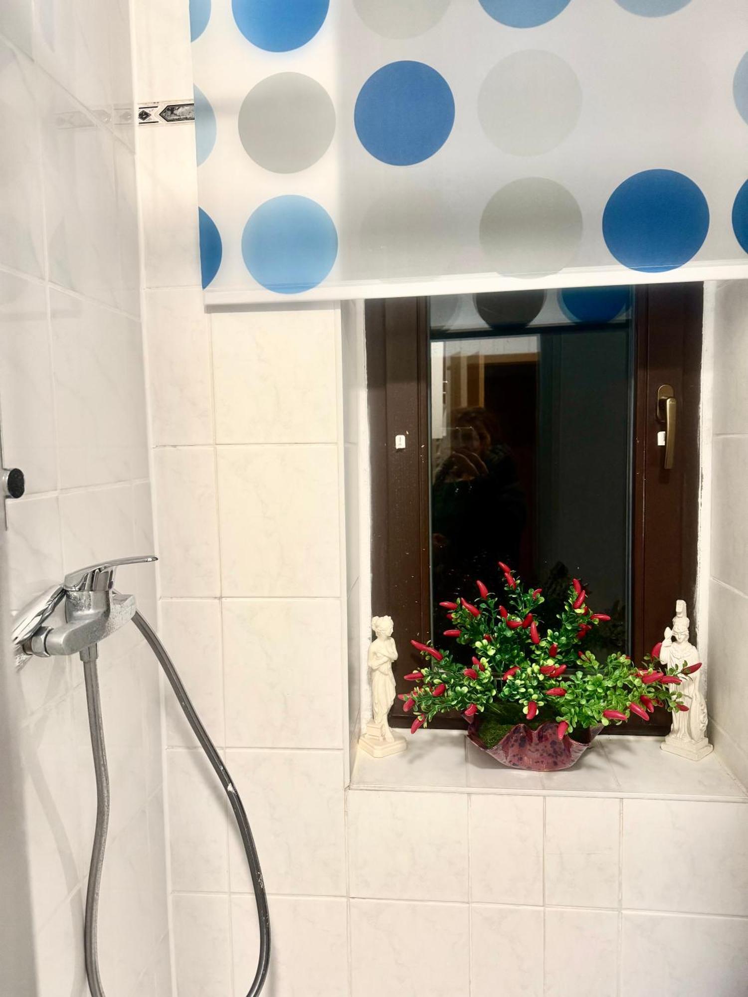 Ferienzimmer Healing Und Montuerwohnung Weißenfels Εξωτερικό φωτογραφία